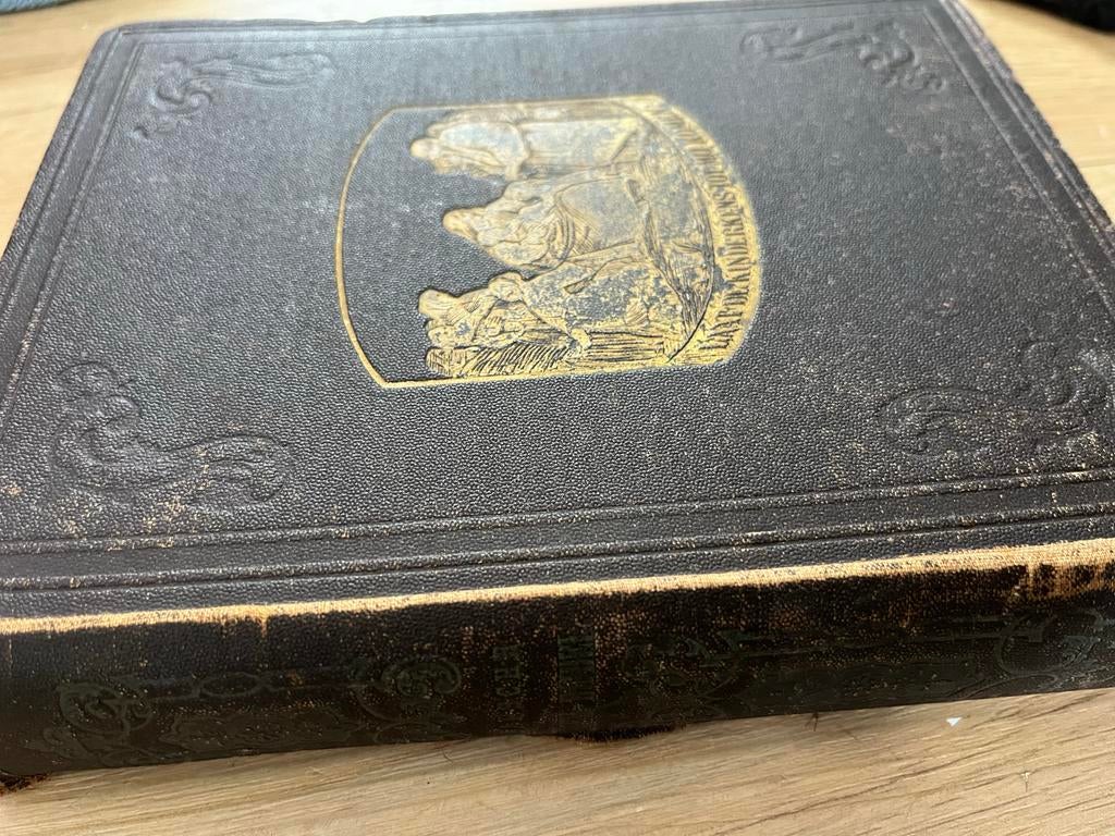 De Kaapsche Kinder-Bijbel - Tweede Druk (1871), Ophalen of Verzenden