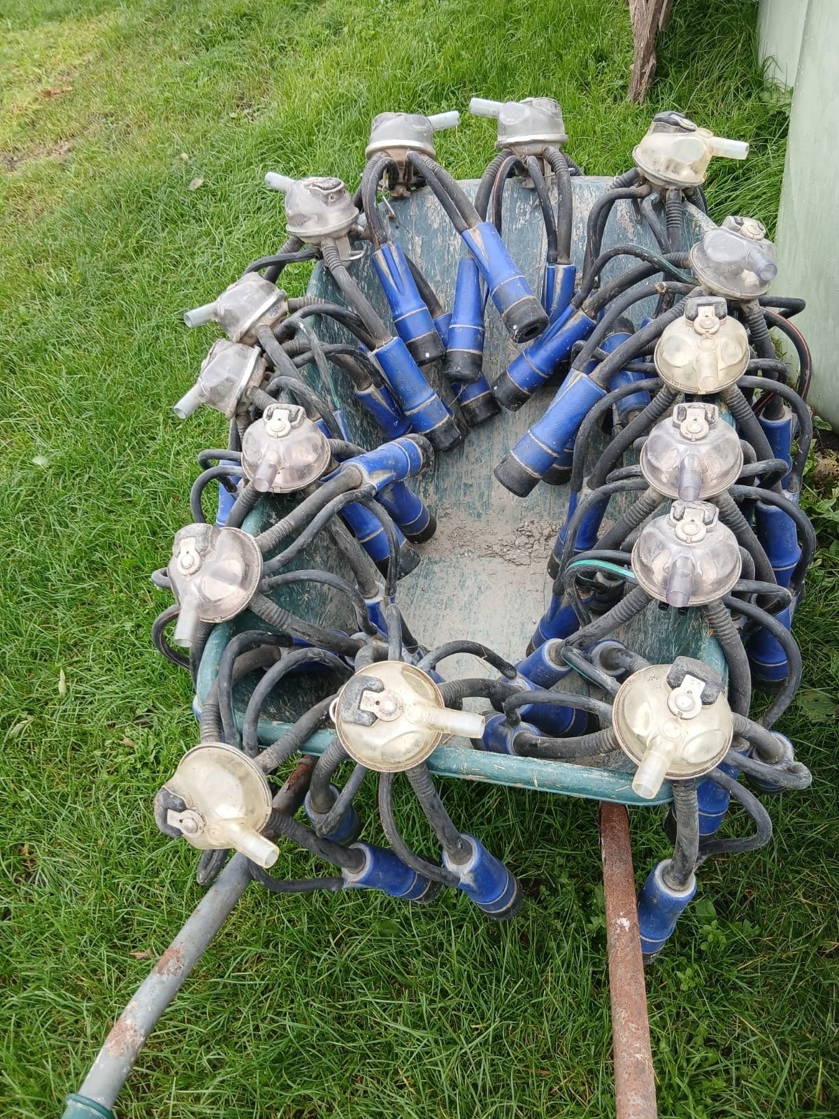 16x DeLaval Melkstellen en Spoeljets
