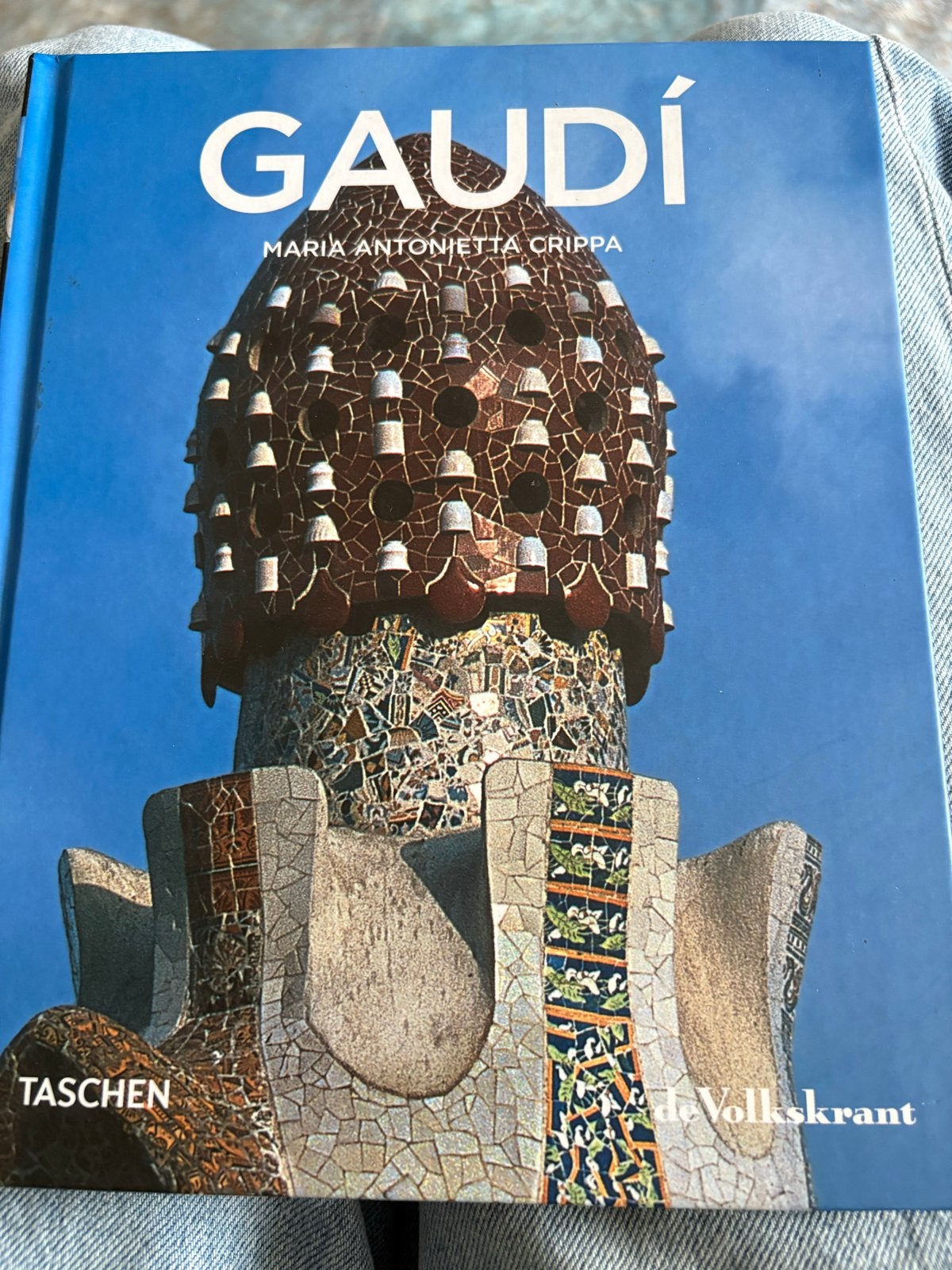 Gaudi - Maria Antonietta Crippa - Taschen - de Volkskrant, Ophalen of Verzenden, Zo goed als nieuw, Architecten