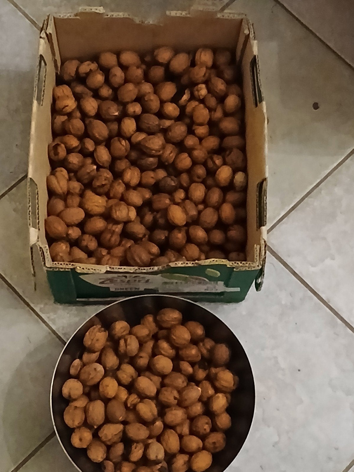 VERSE WALNOTEN, 6 /7 KG..OPHALEN. ELKE DAG NIEUWEN., Diversen, Ophalen