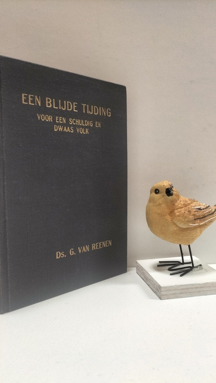 Reenen, Ds. G. van; Een blijde tijding, Ophalen of Verzenden, Gelezen, Christendom | Protestants