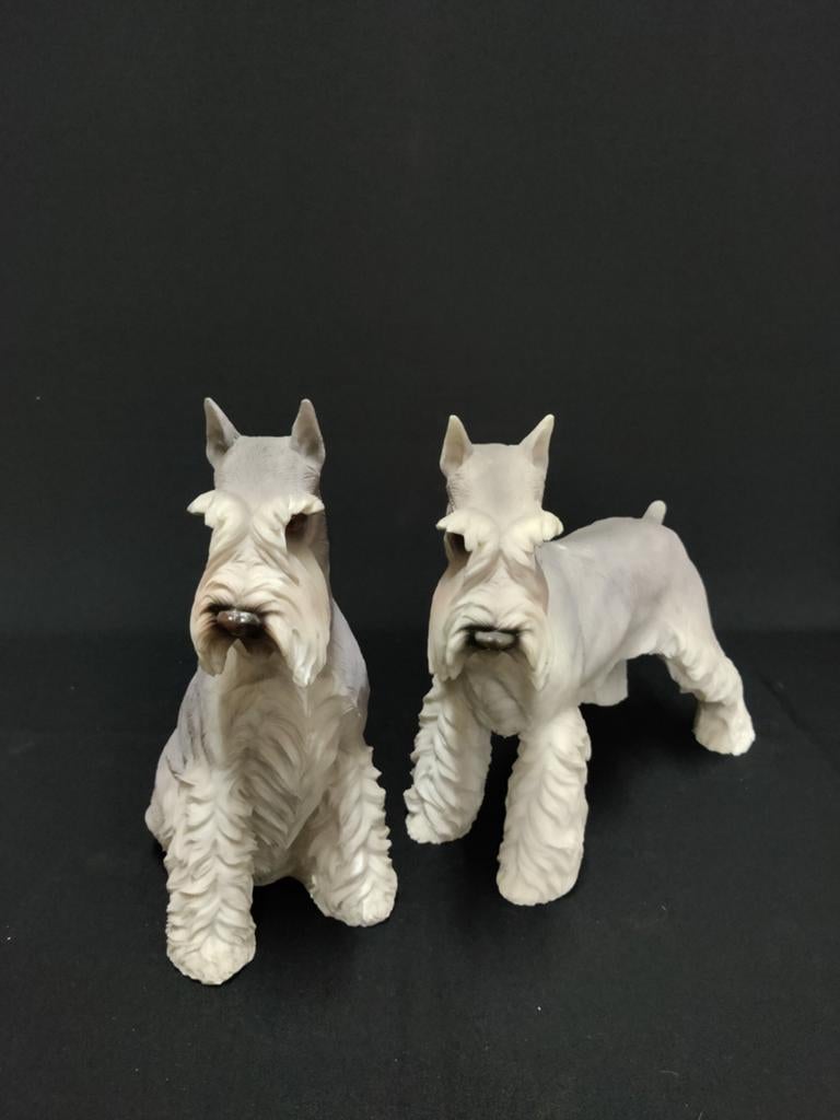 Schnauzer hond, Schnauzer staand Schnauzer zittend., Ophalen of Verzenden, Nieuw, Dier