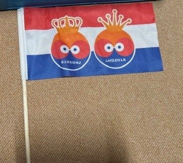 Vlaggetje Leeuwarden 2018, Ophalen of Verzenden, Zo goed als nieuw