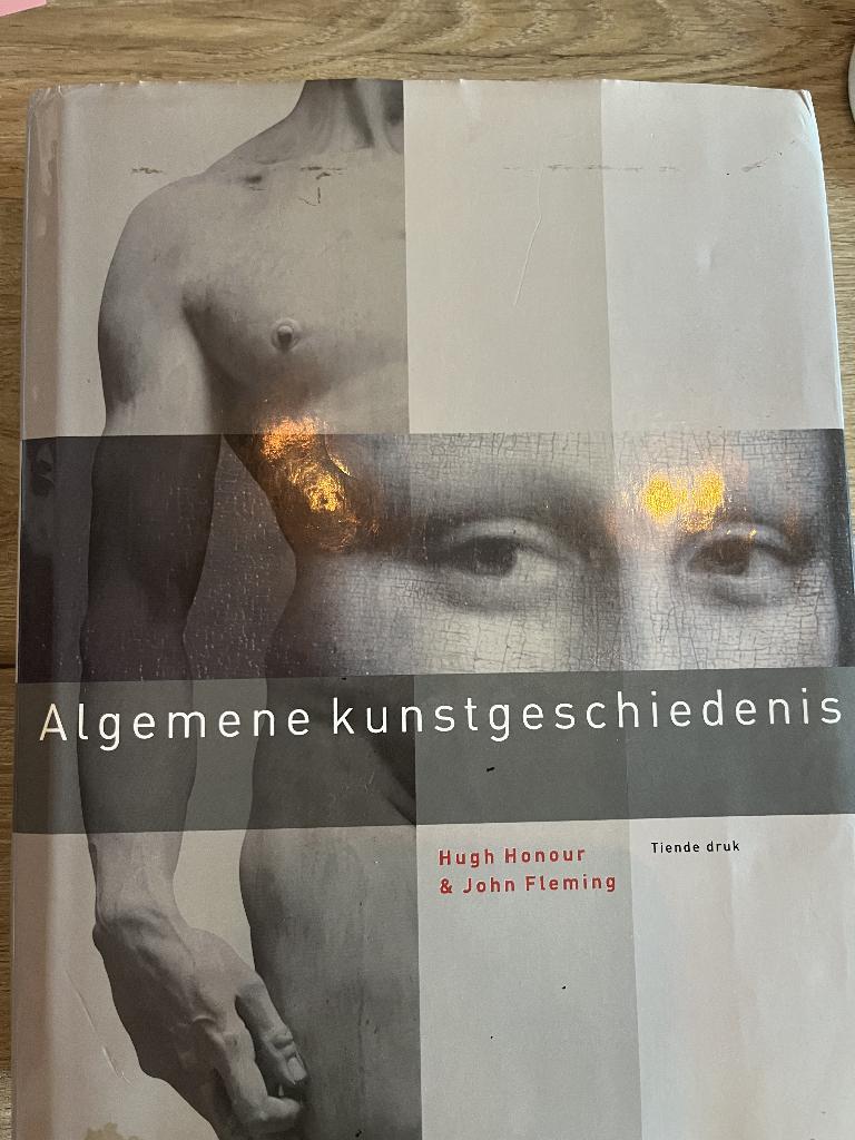 Algemene Kunstgeschiedenis, Boeken, Gelezen, Hugh Honour & John Flemming, Beeldhouwkunst, Ophalen of Verzenden