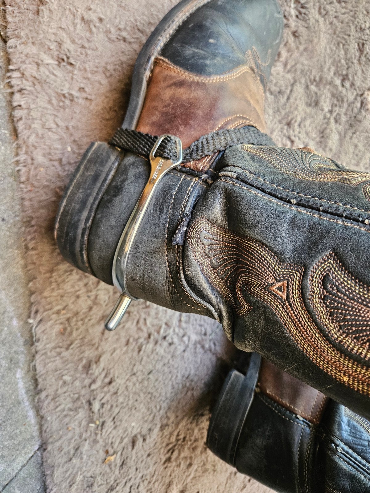 Zgan sporen sprenger, Ophalen, Dressuur