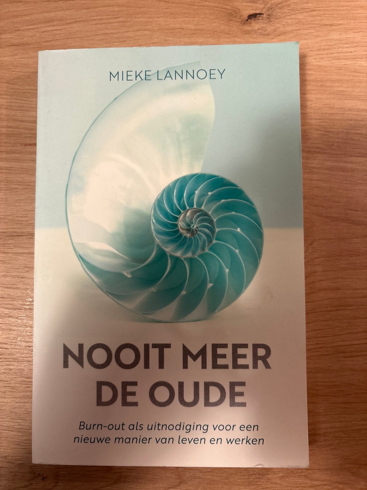 Nooit Meer De Oude - Mieke Lannoy (Burn-out), Ophalen of Verzenden, Zo goed als nieuw