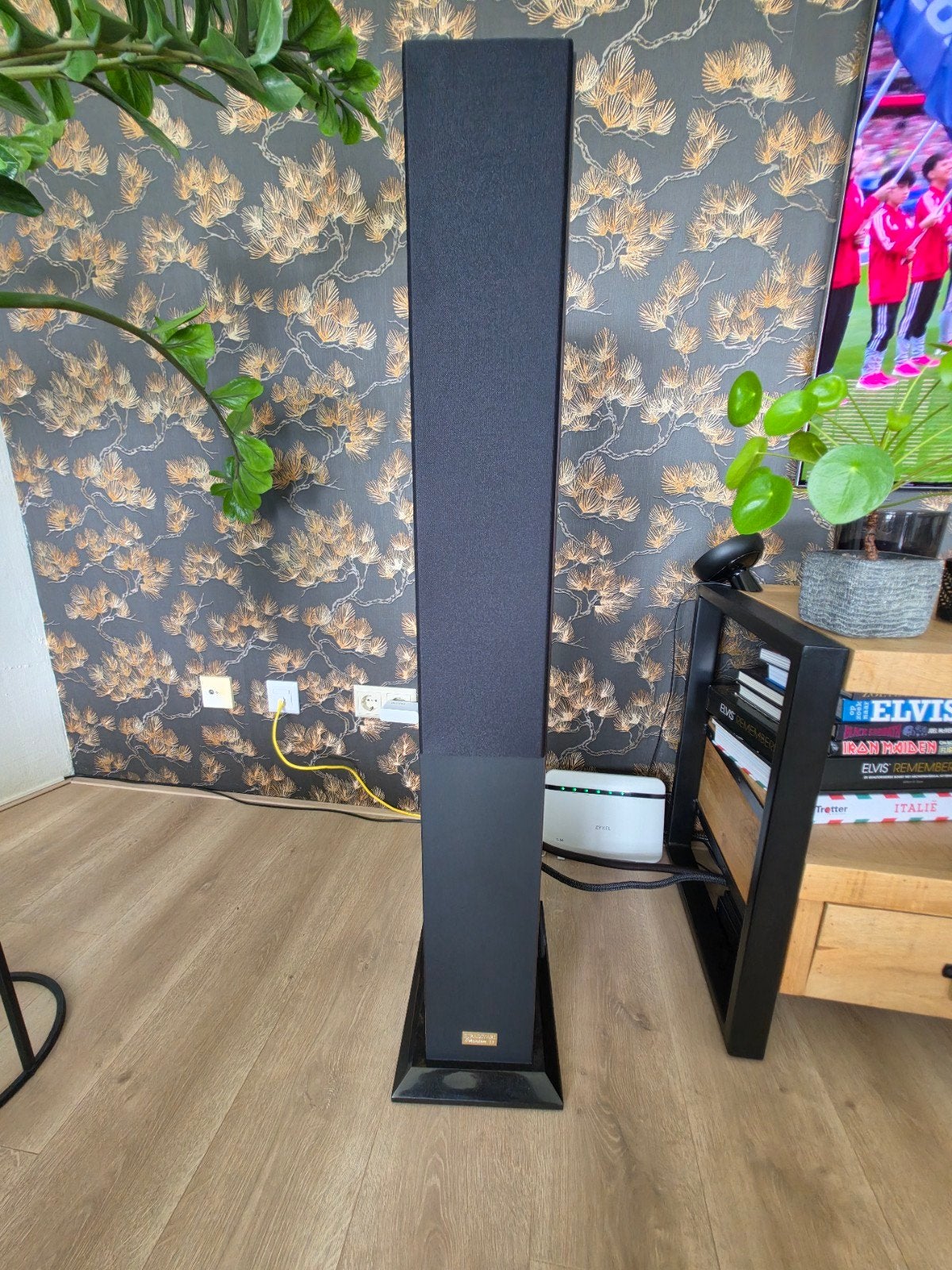STRADIVARI ( Millon) PHANTOM S3, Audio, Tv en Foto, Luidsprekers, Ophalen, Zo goed als nieuw, Overige merken