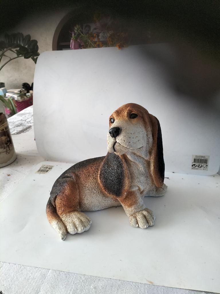 Te koop beeld van een Basset, Ophalen of Verzenden, Zo goed als nieuw, Dier