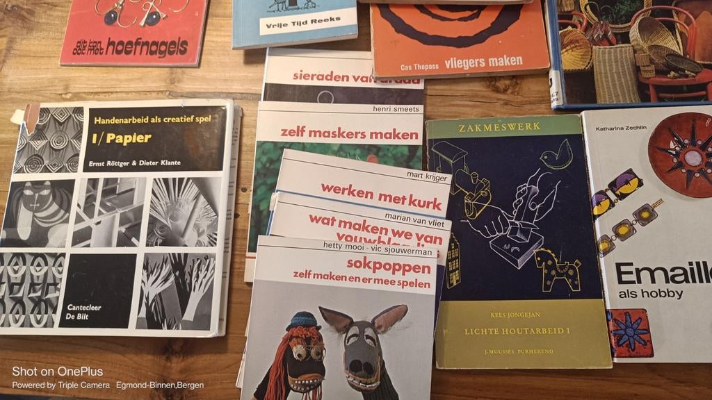 Antieke en nieuwe knutselboekjes - diverse edities, Gelezen, Diverse auteurs, Ophalen of Verzenden, Overige onderwerpen