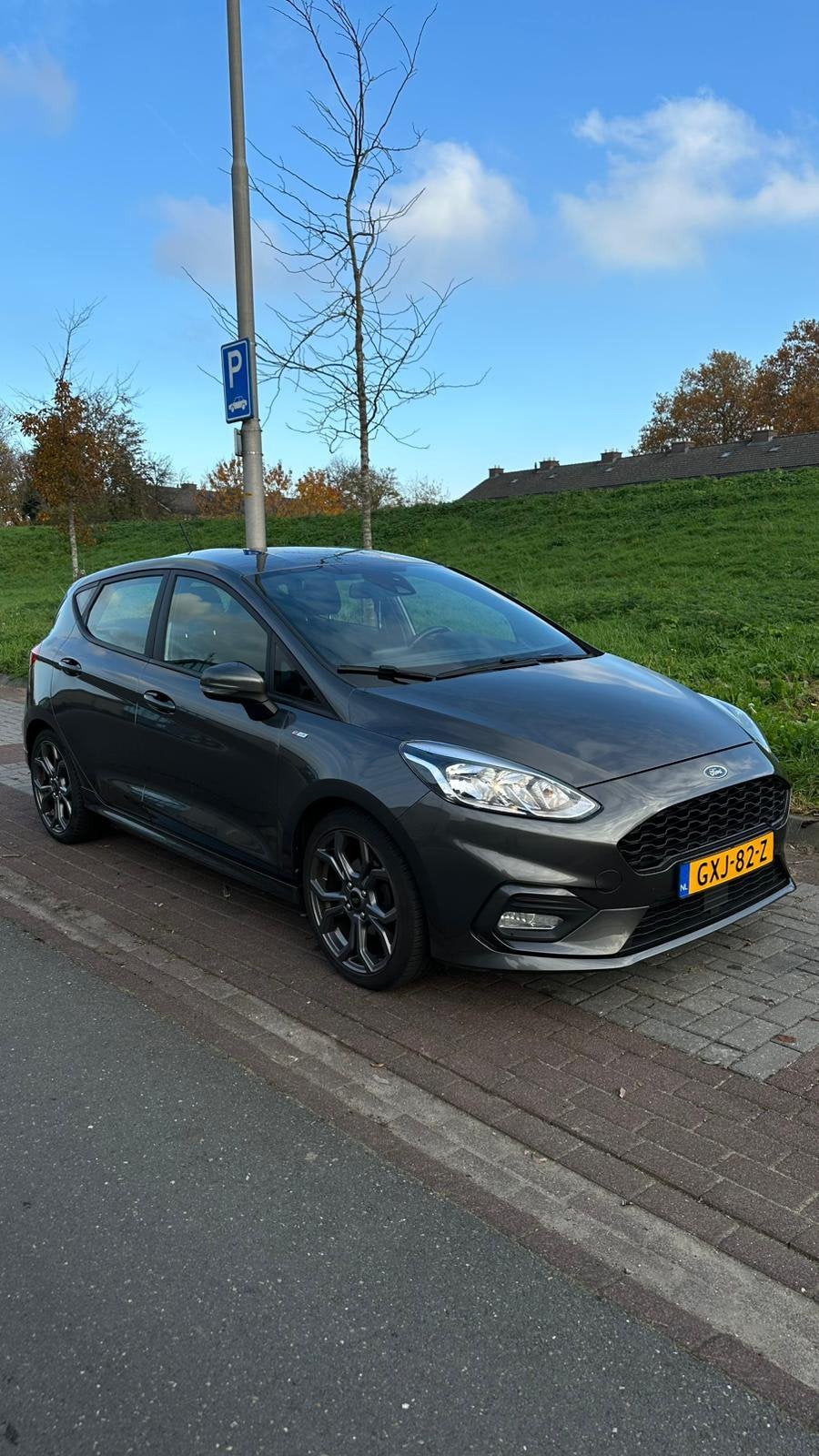 Ford Fiësta 1.0 Ecoboost 100pk 5dr 2018 Grijs, Voorwielaandrijving, Zwart, 595 kg, Handgeschakeld
