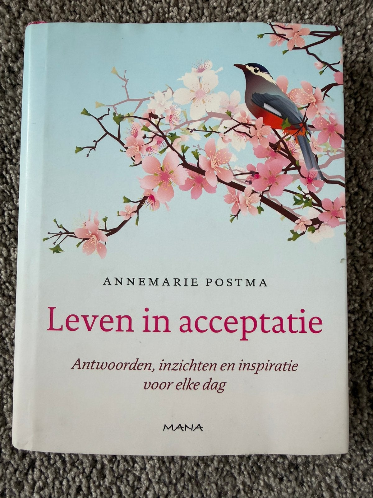 Leven in acceptatie - Annemarie Postma - Hardcover, Verzenden, Zo goed als nieuw