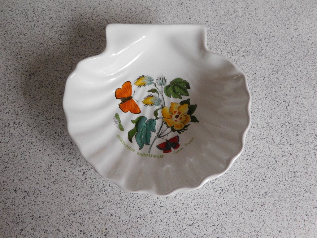 Schelp 14x14 cm. Botanic Garden Portmeirion, Ophalen of Verzenden
