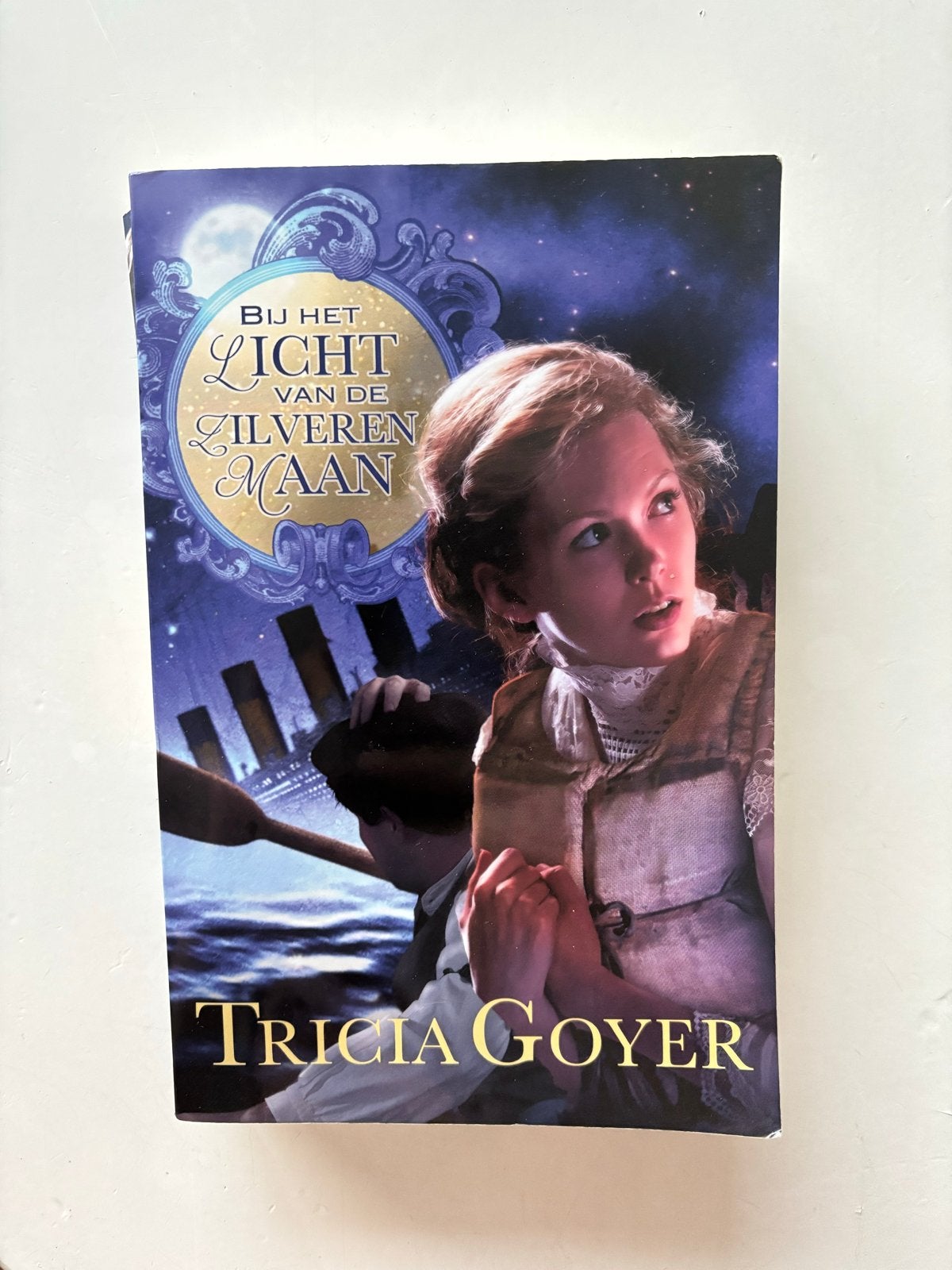 Bij het licht van de zilveren maan - Tricia Goyer, Boeken, Romans, Ophalen of Verzenden, Gelezen, Amerika