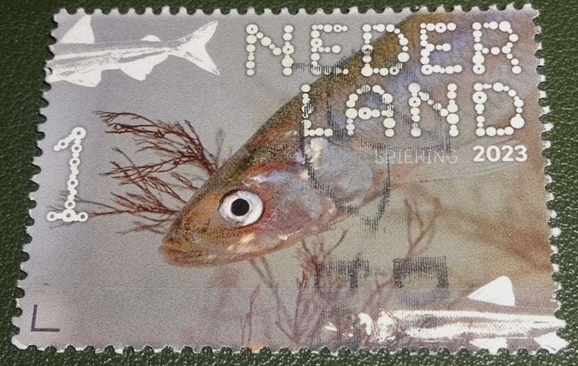 Beleef de Natuur - 4169 - 2023 - Spiering - PNe01-07, Verzenden, Na 1940, Gestempeld