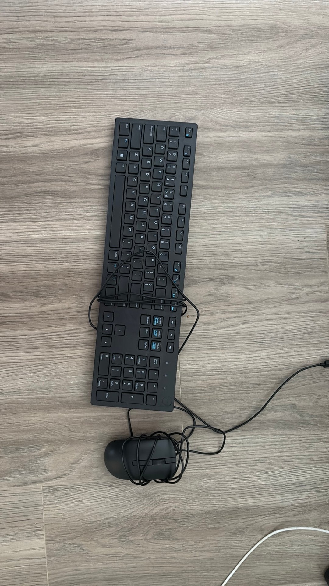 Dell keyboard and mouse new!!!, Ophalen of Verzenden, Nieuw