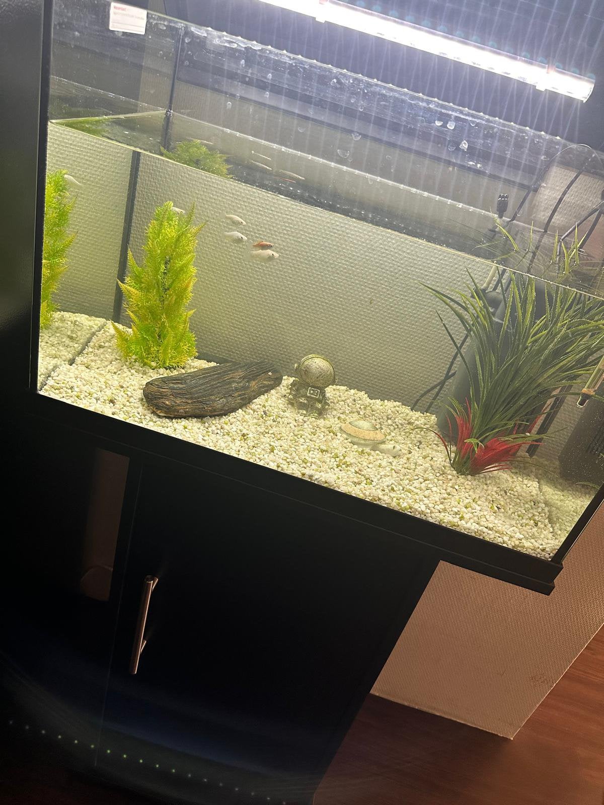 Volledig aquarium inclusief meubel 70L, Dieren en Toebehoren, Vissen | Aquaria en Toebehoren, Ophalen, Zo goed als nieuw, Leeg aquarium