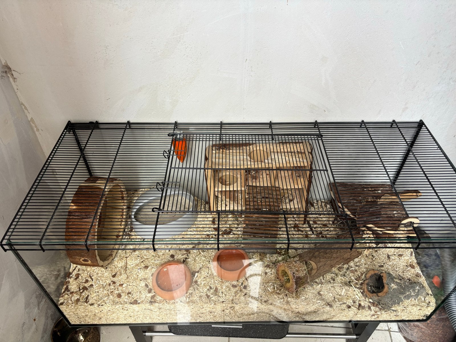 Hamster kooi, Dieren en Toebehoren, Kooi, Zo goed als nieuw, Hamster, 75 tot 110 cm