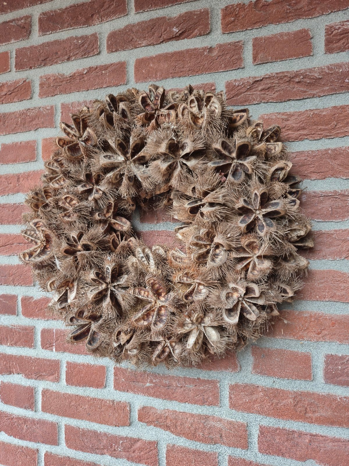 Grote Decoratieve Krans van kastanje hulzen, Krans, Nieuw, Ophalen of Verzenden, 47 cm