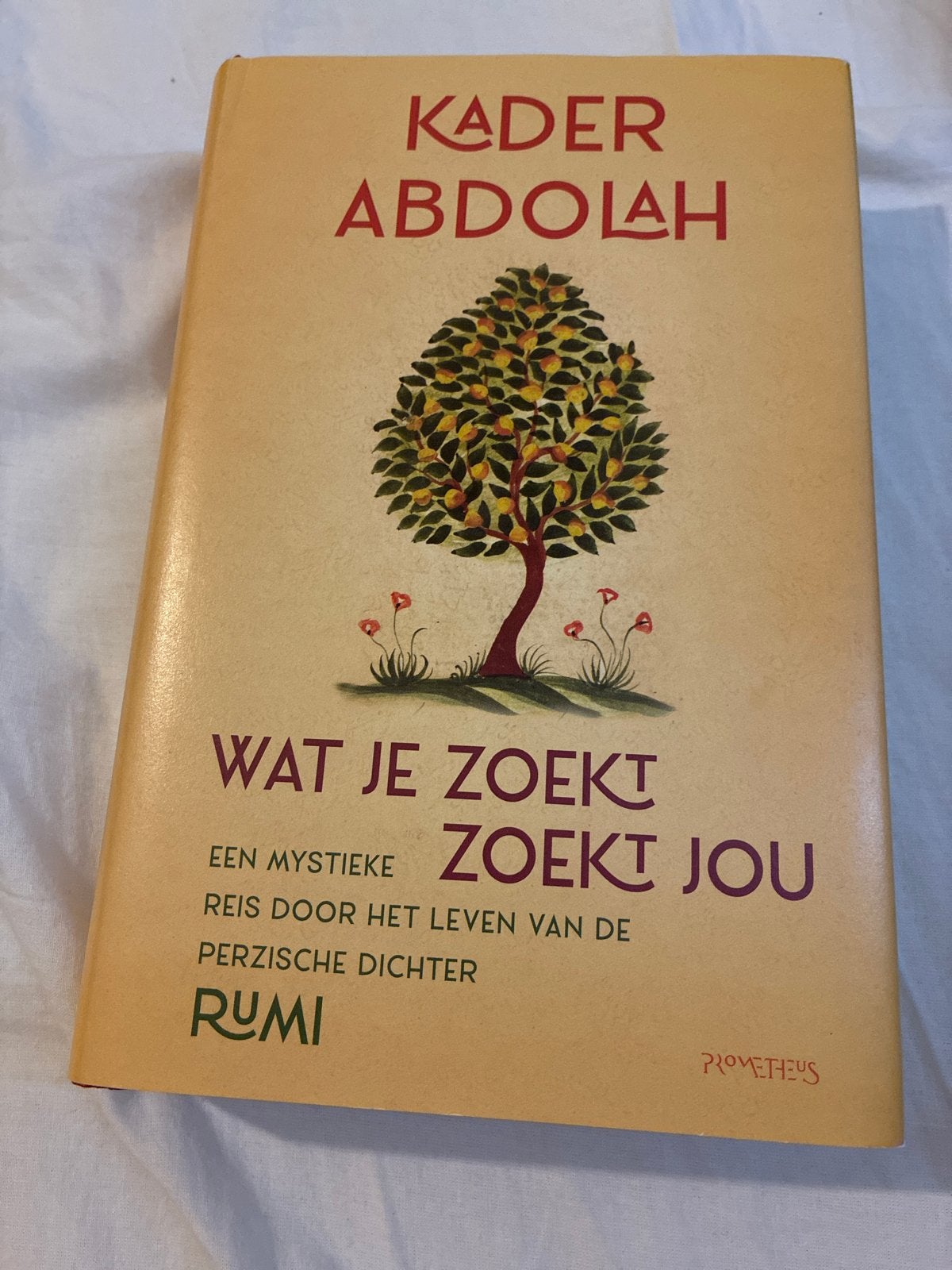 Wat Je Zoekt Zoekt Jou - Kader Abdolah (Rumi), Boeken, Ophalen of Verzenden, Zo goed als nieuw, Nederland