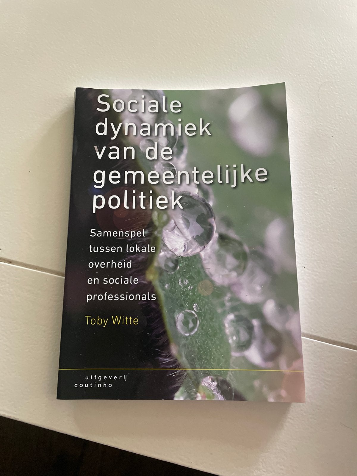 Sociale dynamiek van de gemeentelijke politiek, Boeken, Ophalen of Verzenden, Gamma, Zo goed als nieuw, HBO