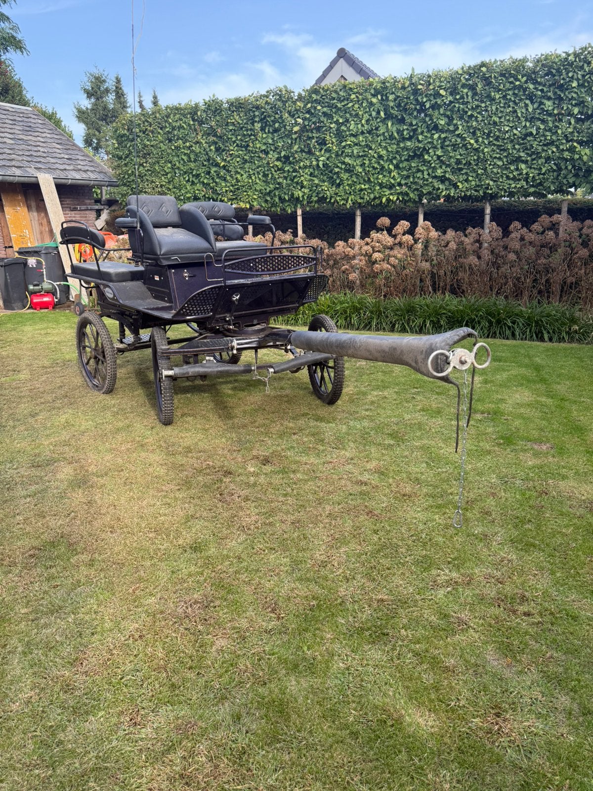 Clever Marathonwagen, Dieren en Toebehoren, Zo goed als nieuw, Marathonwagen, Paard of Pony