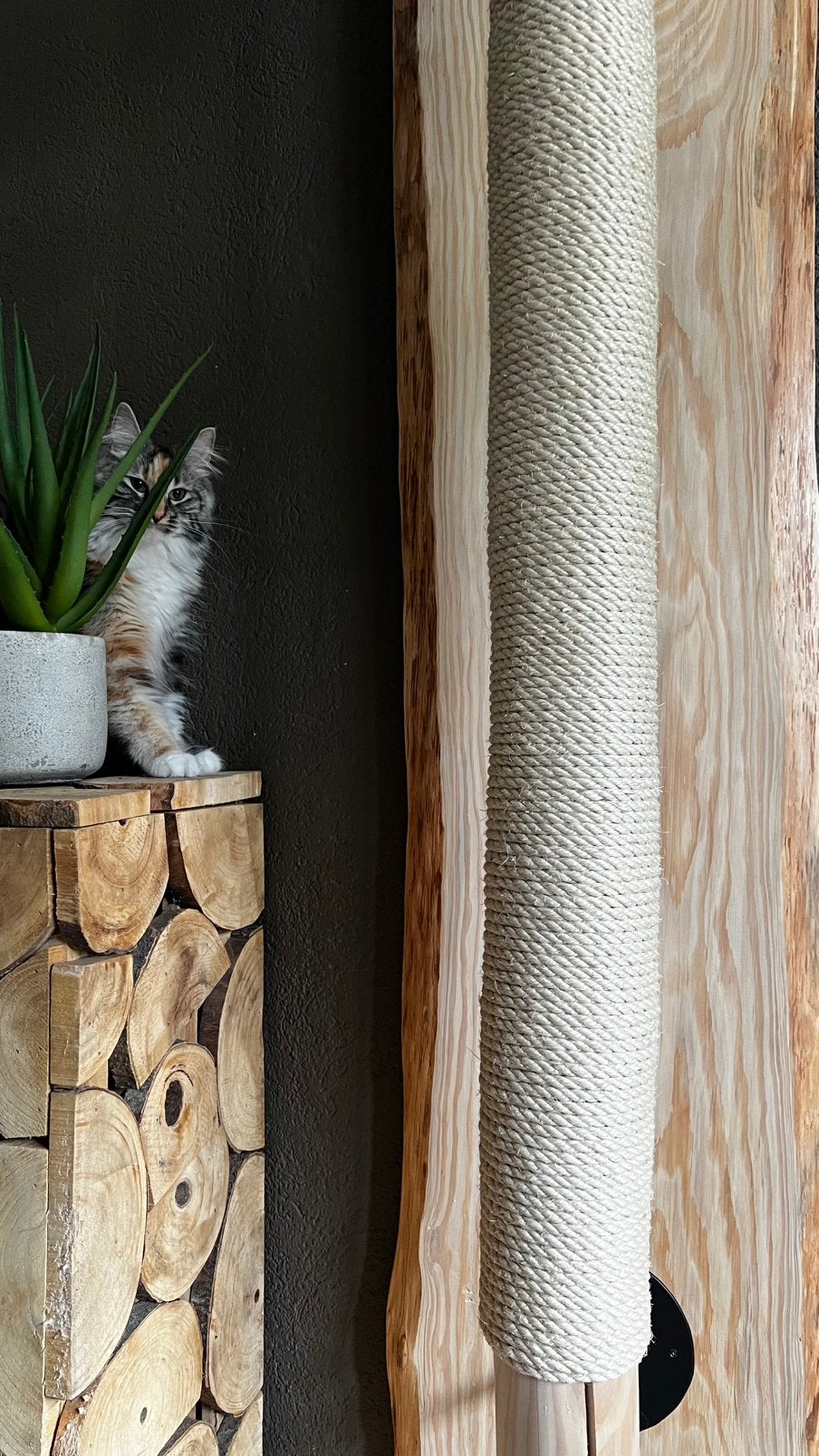 Muur Krabpaal, Massief hout, Maatwerk mogelijk,Op bestelling, Verzenden, Nieuw, Krabpaal
