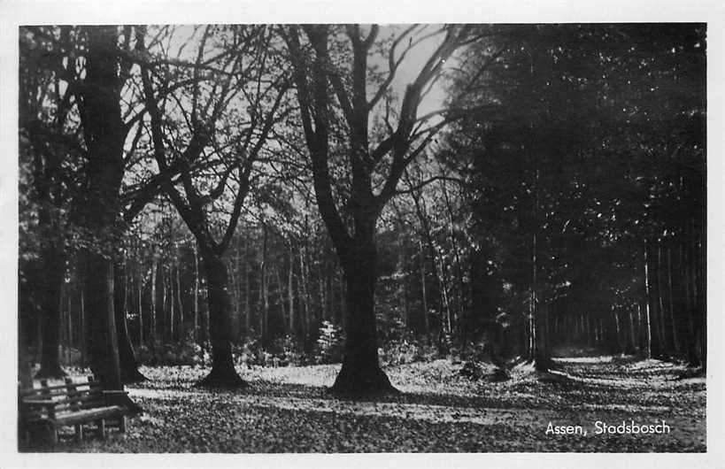 377-595-035 Assen Stadsbosch, Verzamelen, Ansichtkaarten | Nederland, Verzenden, Voor 1920, Drenthe