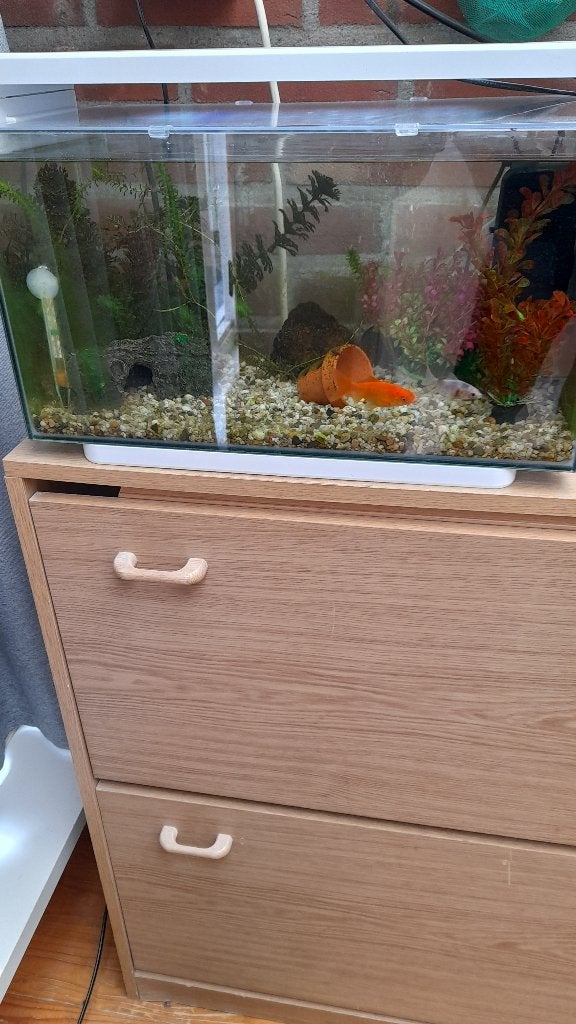 Aquarium  met let verlichting  Home 25, Ophalen, Zo goed als nieuw, Leeg aquarium