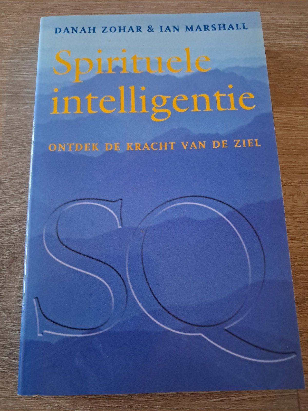 E9 Spirituele intelligentie: Ontdek de kracht van de ziel, Boeken, Achtergrond en Informatie, Spiritualiteit algemeen, Ophalen of Verzenden