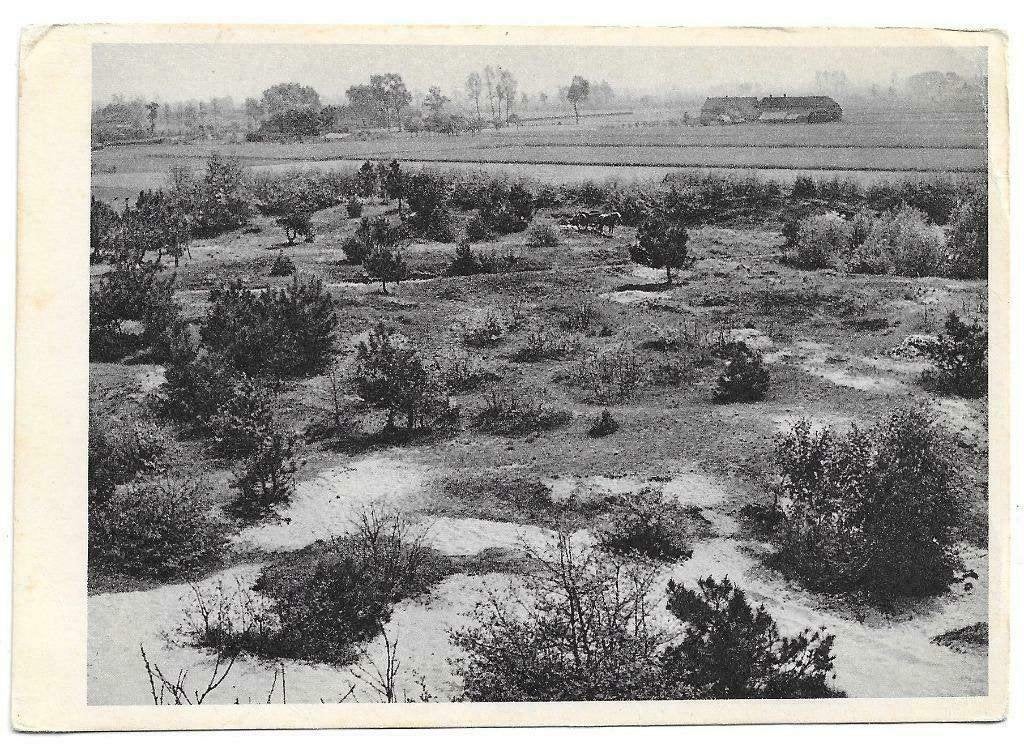 AK Vorstenbosch - Landschap bij Vorstenbosch, Ophalen of Verzenden, 1940 tot 1960, Ongelopen, Noord-Brabant