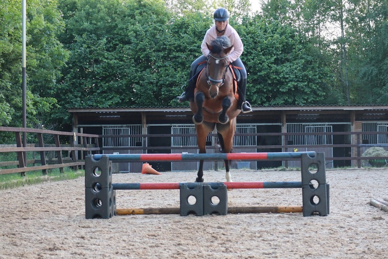 lieve, brave E-pony te koop, Dieren en Toebehoren, Merrie