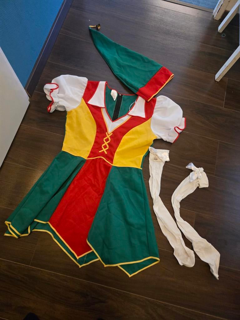 Kabouter kostuum dames maat 42, Ophalen of Verzenden, Zo goed als nieuw, Maat 42/44 (L), Carnaval