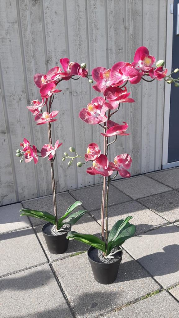 2x IKEA Fejka Kunstorchideeën Roze, Ophalen