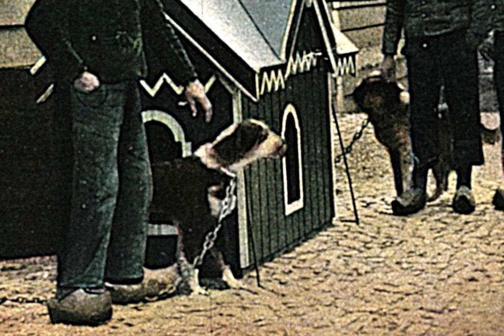 804680	Zeeland	Boeren Hofstede	1904	Gelopen met zegel, Ophalen of Verzenden, Voor 1920, Gelopen, Zeeland