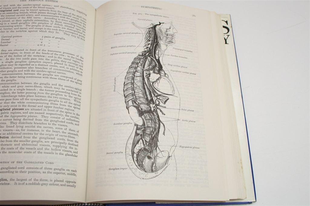 Gray’s Anatomy — Klassieke Facsimile van Editie 1901, Boeken, Verzenden, Gelezen, Natuurwetenschap