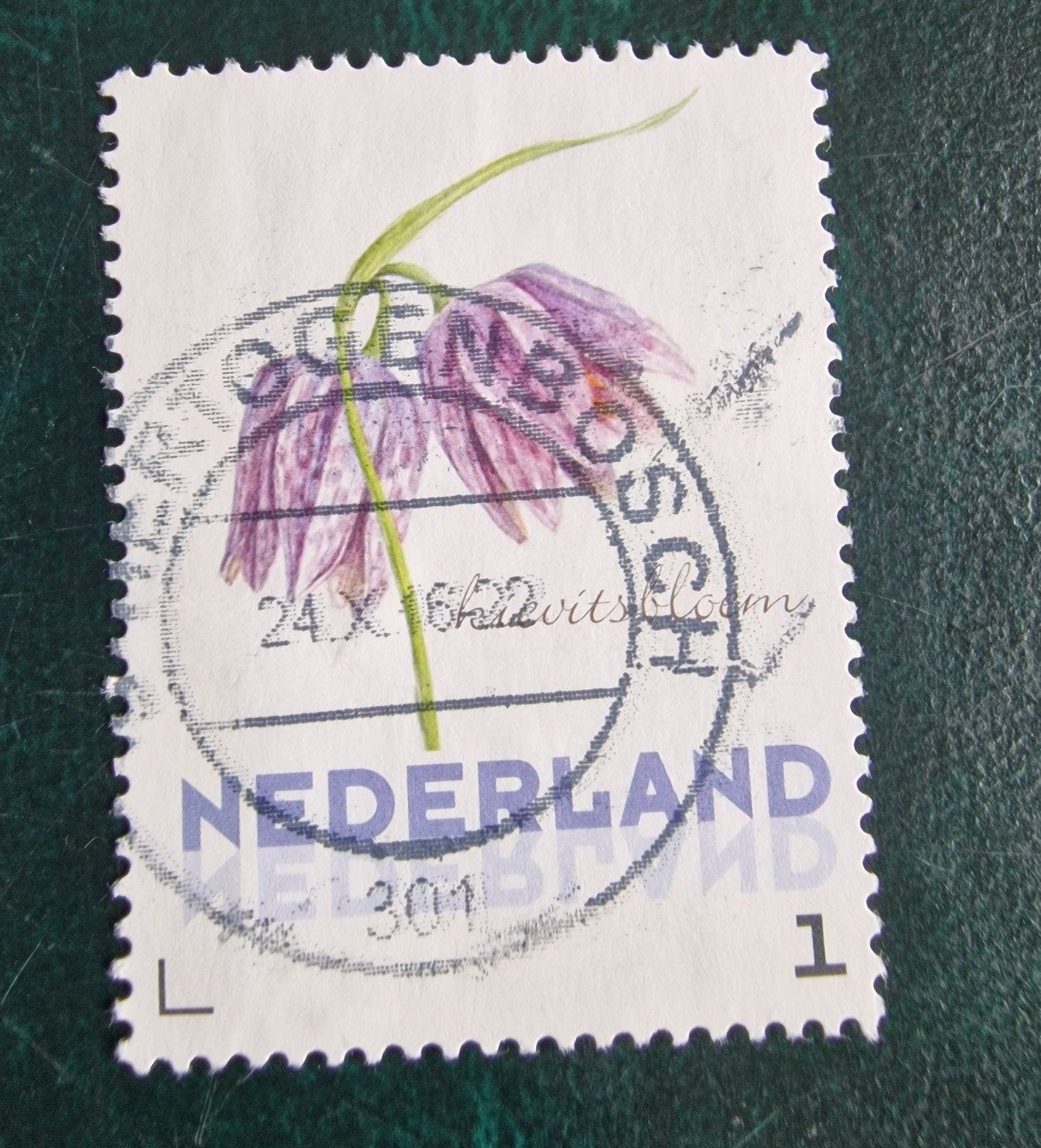 kv182 persoonlijke  postzegel Kievitsbloem gestempeld, Ophalen of Verzenden, Na 1940, Gestempeld