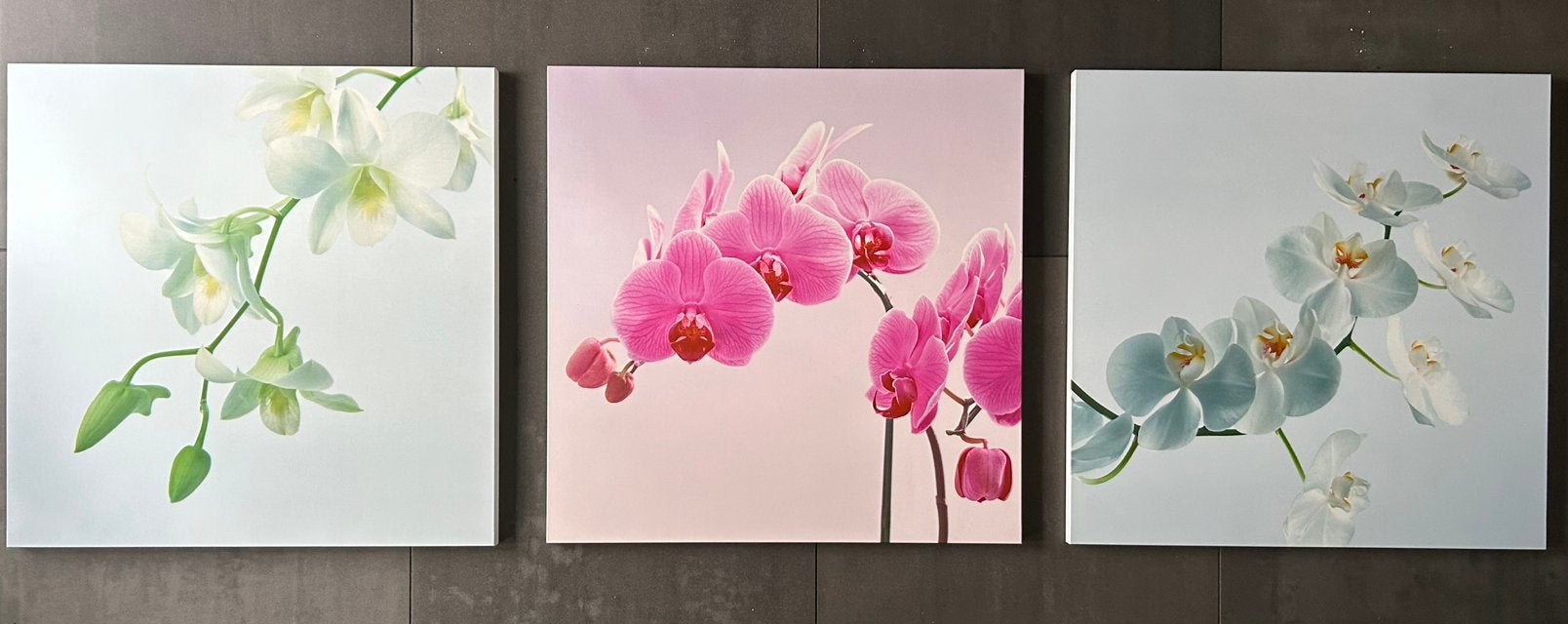 3 grote wandpanelen, orchideeën, Elementem Photography, Ophalen, Print, Fotografie, Met ophangsysteem