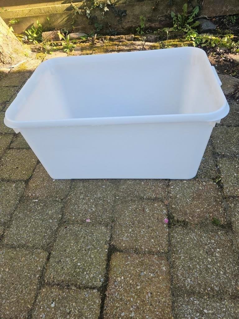 Witte kunststof bak 60 x 40 x 28 cm, Ophalen