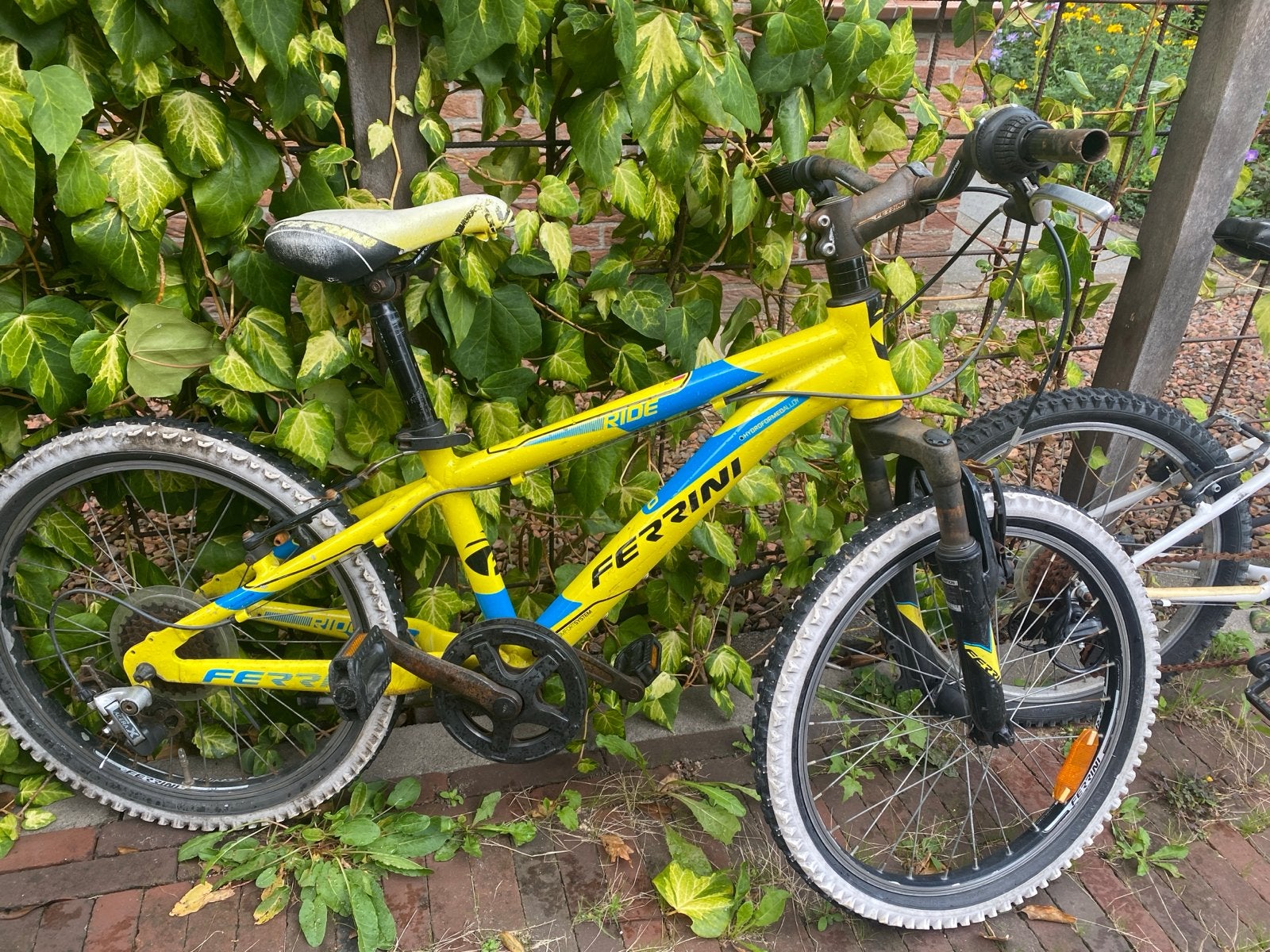 2x 20 inch kinderfietsen - opknappers, Ophalen, Gebruikt, 20 inch of meer
