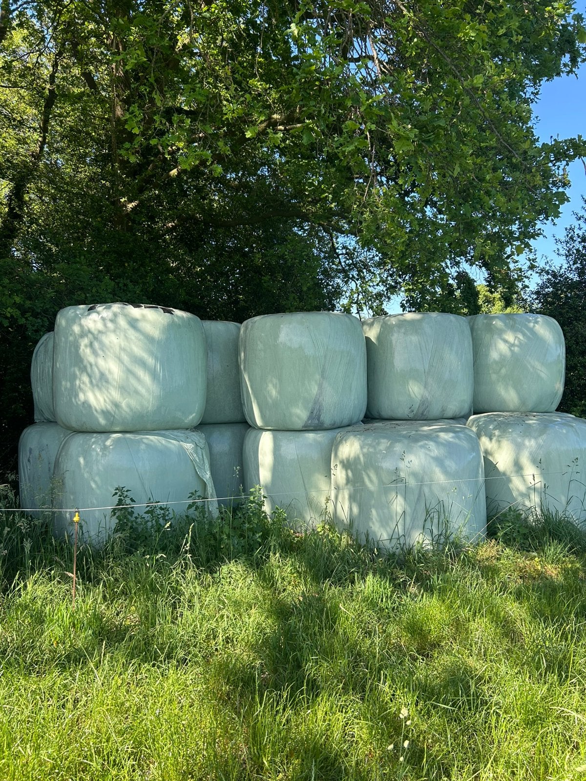 Weidegrasbalen, Ophalen, Vee