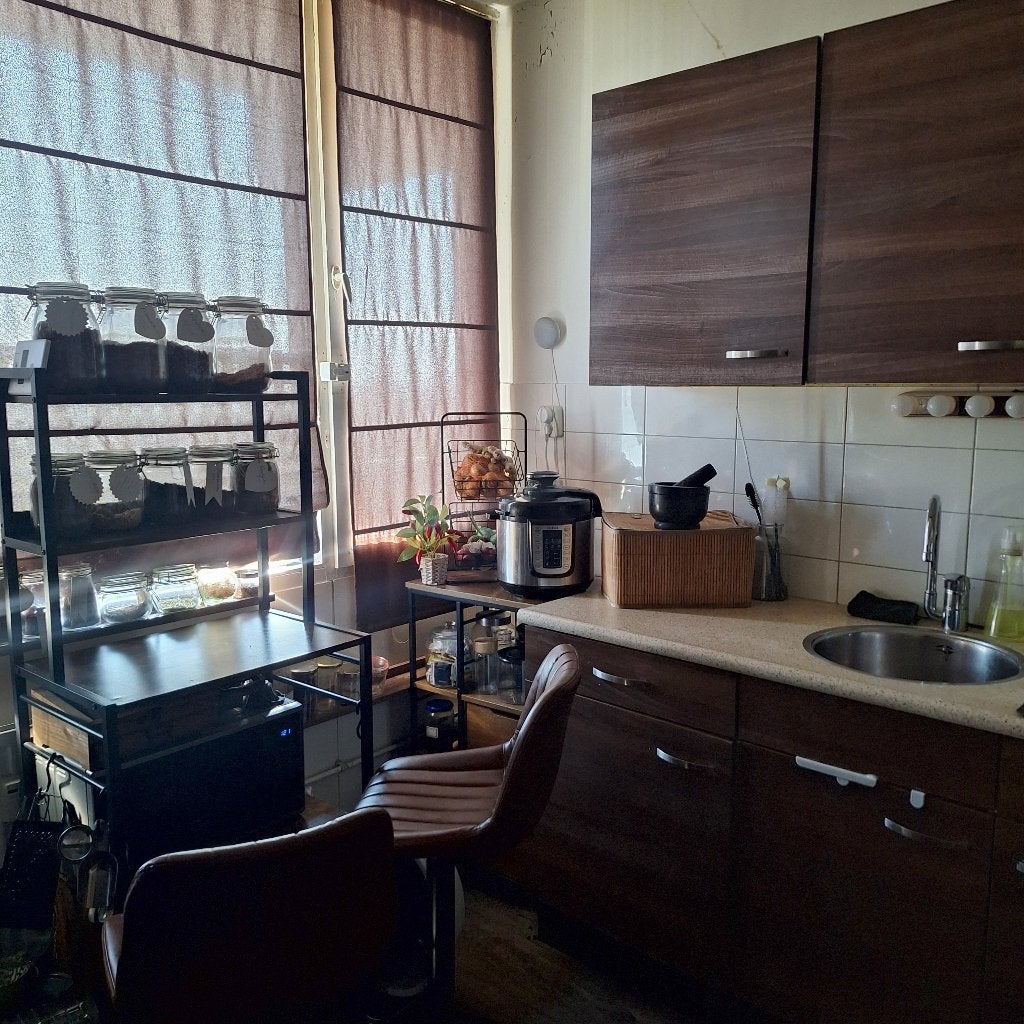 WONINGRUIL ROTTERDA EN OF OMGEVING  MET ZUID LIBURG, Huizen en Kamers, Rotterdam