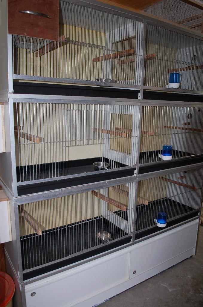 Van Keulen kweekkooien, Dieren en Toebehoren, Vogels | Hokken en Kooien, Ophalen, Gebruikt, Hout, Vogelkooi