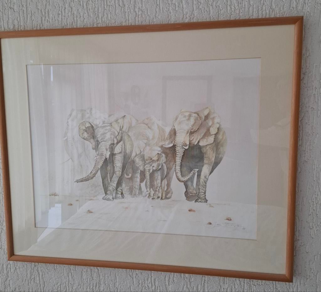 Aquarel olifanten in houten lijst, Antiek en Kunst, Ophalen