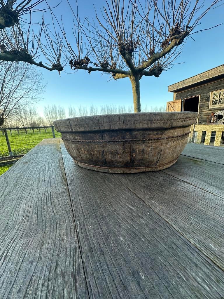 Grote, zeer oude olijfbak van hout, Ophalen