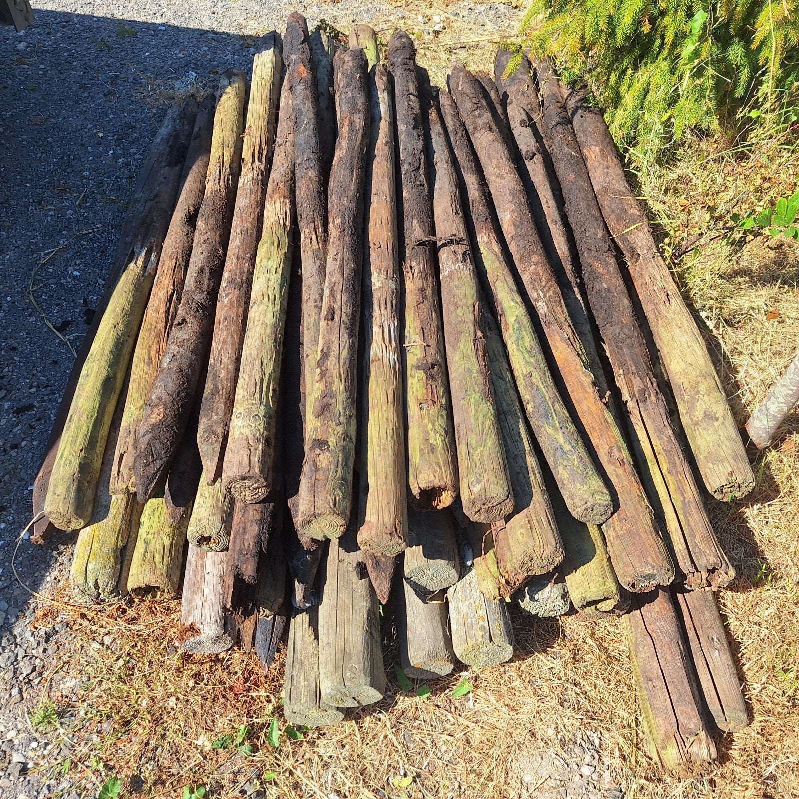 palen hekpalen weidepalen afrasteringspalen afzetting, Tuin en Terras, Palen, Balken en Planken, Ophalen, Minder dan 180 cm, Palen