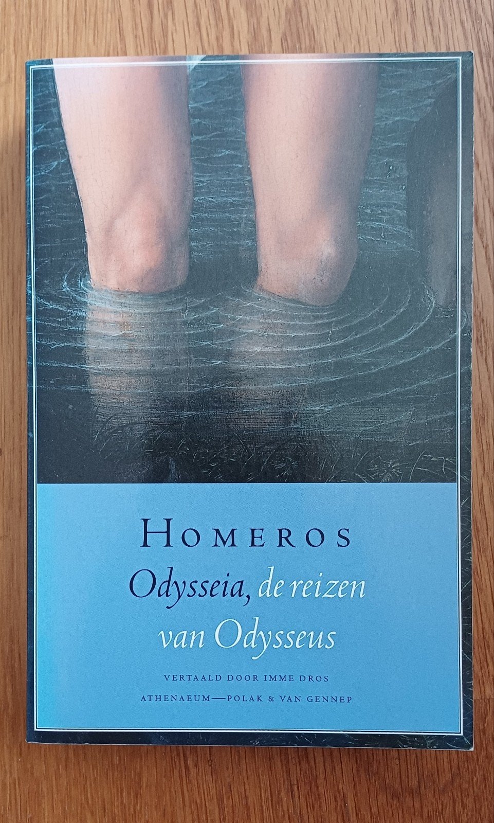 Homeros - Odysseia  de reizen van Odysseus, Boeken, Ophalen of Verzenden, Nieuw, Homerus -Imme Dros, Nederland