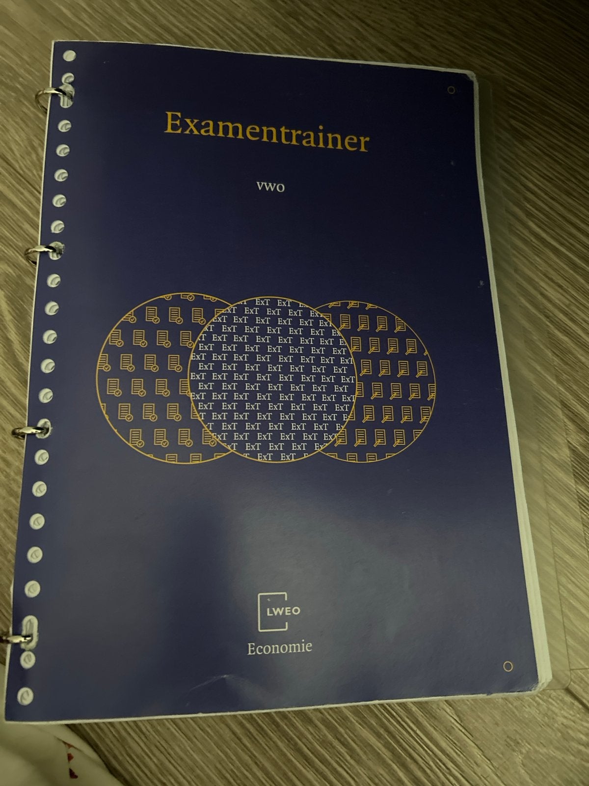 Examentrainer vwo Economie LWEo - 1e druk, Boeken, Ophalen of Verzenden, Gamma, Gelezen, WO