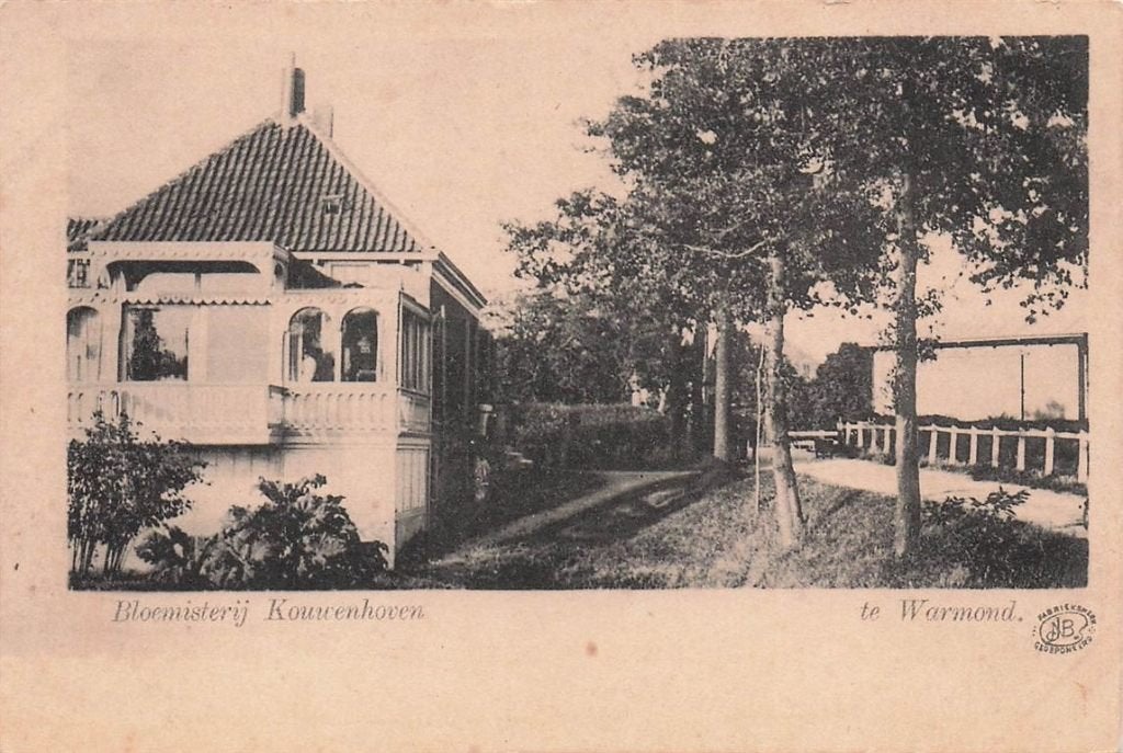 703-461-021 Bloemisterij Kouwenhoven te Warmond, Verzenden, Voor 1920, Zuid-Holland