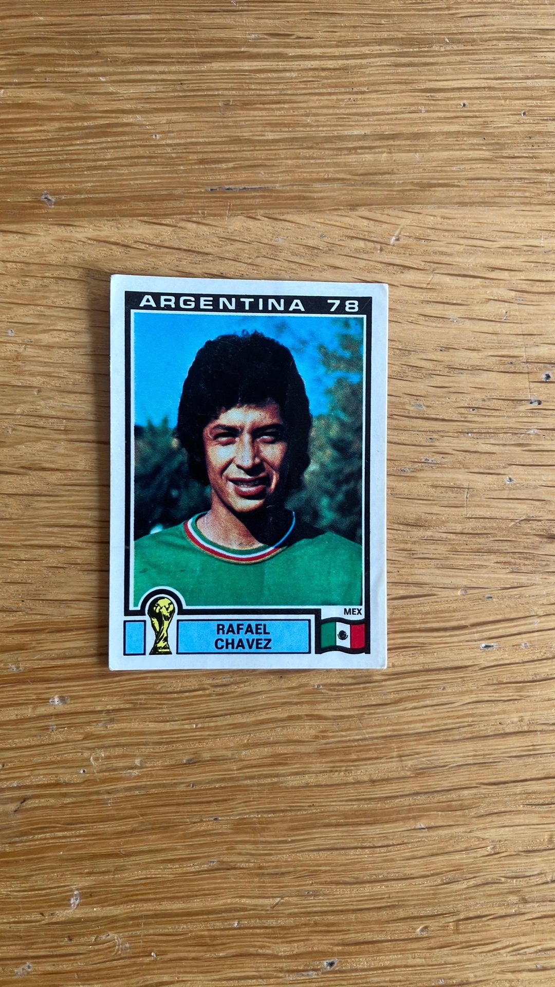 Panini Argentina ‘78, Ophalen of Verzenden, Zo goed als nieuw, Sticker