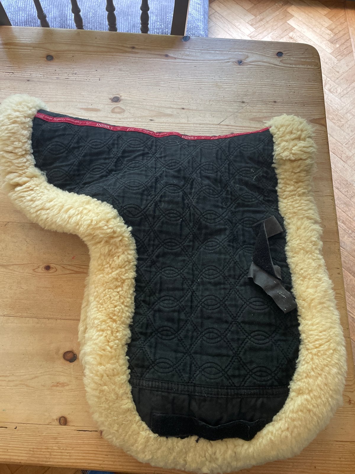 Bont sjabrak, Ophalen, Dressuur